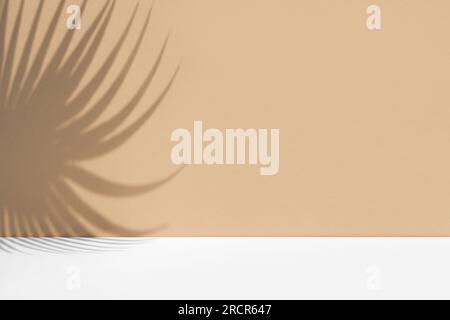 Minimaler abstrakter Hintergrund mit Schatten tropischer Palmenblätter. Aufmachung des kosmetischen mittels. Hochwertiges Podium auf pastellfarbenen, hellbeigen Wänden und Weiß Stockfoto