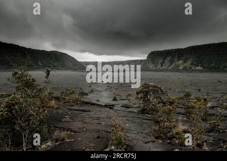 Kileaua iki Kraterpfad im Volcano-Nationalpark Stockfoto