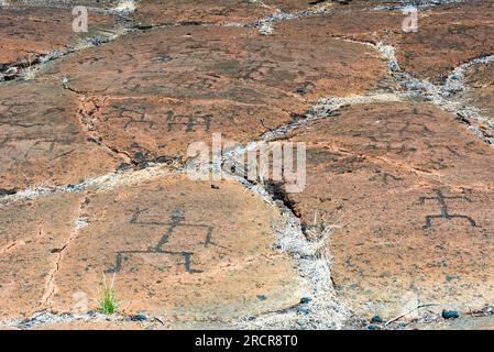 Felsen bedeckt mit Felszeichnungen, die von einheimischen hawaiianern geschnitzt wurden Stockfoto