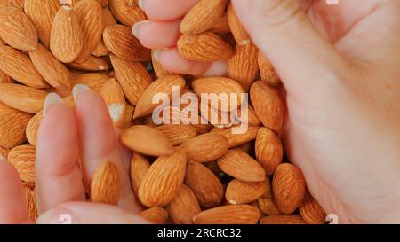 Die Makroaufnahme mit Frauenhänden enthält ganze Mandeln, einen leckeren und knusprigen Snack. Stockfoto