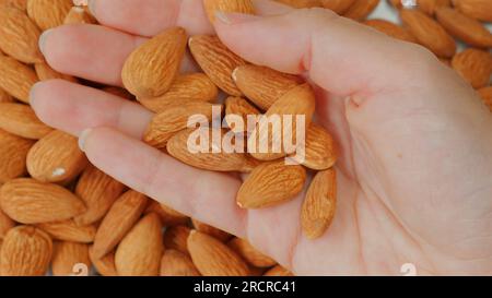 Frauenhände halten geröstete Mandeln, nahrhafte vegetarische Zutat. Stockfoto