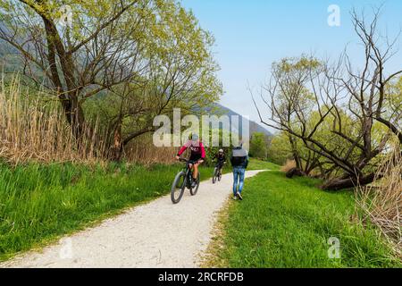 Italien Venetische Revinenseen - Naturpfad Stockfoto