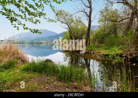 Italien Venetische Revinenseen - Naturpfad Stockfoto