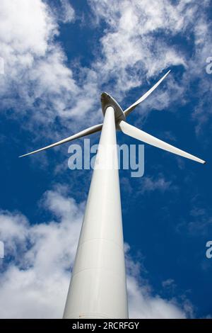 Blick von der Turmbasis auf die weißen Blätter des Windturbinengenerators in Westaustralien bei der Albany Wind Farm an der Sand Patch Road Stockfoto