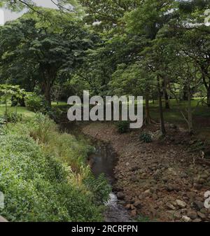 Ein von Pflanzen und Bäumen gesäumter Bach in den McBryde Gardens in Lawai, Kauai, Hawaii, USA Stockfoto