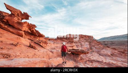 Wenig Finnland in der Nähe von Pasadena, Kalifornien, USA Stockfoto