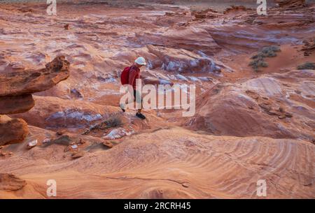 Wenig Finnland in der Nähe von Pasadena, Kalifornien, USA Stockfoto