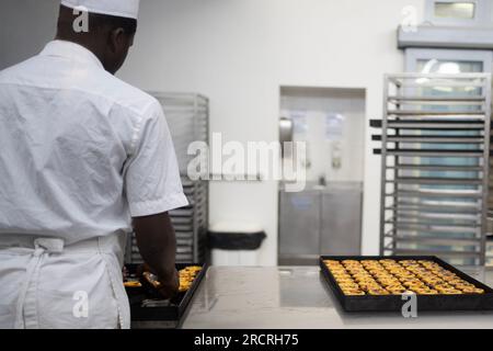 Männlicher Koch bereitet traditionelle portugiesische Eiertorten in der Konditorei zu: Pastel de Nata -Pastel de Belem Stockfoto