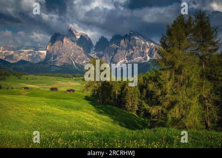 Atemberaubende Sommerlandschaft mit hölzernen Chalets auf den blühenden Wiesen und hohen Bergen im Hintergrund, Alpe di Siusi, Dolomiten, Italien, Europa Stockfoto