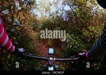 Fahren Sie mit einem Mountainbike-Lenker aus der Sicht des Fahrers in einem Wald auf einer einzigen Strecke Stockfoto