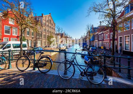 Bakenessergacht, Haarlem, Nordholland, Niederlande, Stockfoto