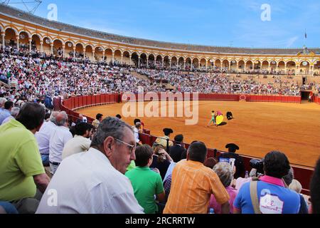 Stierkampfarena, Plaza de Toros de la Real Maestranza de Caballería de Sevilla, Plaza de Toros, Sevilla, Andalusien, Spanien Stockfoto