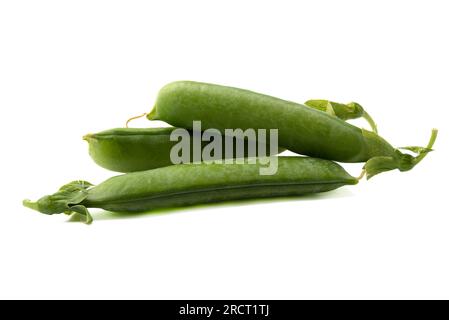 Drei frische, reife, geschlossene Erbsenschoten, isoliert auf weißem Hintergrund. Speicherplatz kopieren. Stockfoto