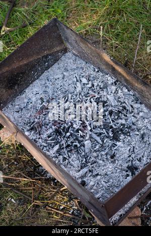 Graue Asche nach dem Brennen von Holzzweigen in Eisenglanz nach dem Grillen, brennendes Brennholz. Holzkohle drinnen auf grünem Gras Hintergrund draußen am Sommertag. Stockfoto