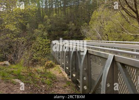 Metallsteg führt über einen Wasserfall in den Wäldern Stockfoto