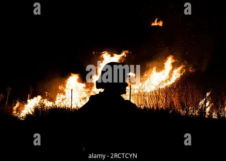 Moreno Valley, Usa. 14. Juli 2023. Ein Feuerwehrmann von CalFire, der gegen die Flammen abgeschirmt wurde. Kalifornische Feuerwehrleute (CalFire) stellen sich dem Kaninchenfeuer, das derzeit Moreno Valley, Kalifornien, übernimmt, entgegen. Die Behörden haben bestätigt, dass der Brand über 3200 Hektar Land verbraucht hat und derzeit nur zu 5 % eingedämmt ist. (Foto: Jon Putman/SOPA Images/Sipa USA) Guthaben: SIPA USA/Alamy Live News Stockfoto