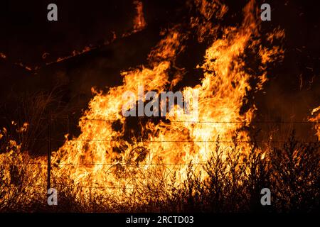 Moreno Valley, Usa. 14. Juli 2023. Ein Gesicht, das in den Flammen des Kaninchenfeuers zu sehen ist. Kalifornische Feuerwehrleute (CalFire) stellen sich dem Kaninchenfeuer, das derzeit Moreno Valley, Kalifornien, übernimmt, entgegen. Die Behörden haben bestätigt, dass der Brand über 3200 Hektar Land verbraucht hat und derzeit nur zu 5 % eingedämmt ist. (Foto: Jon Putman/SOPA Images/Sipa USA) Guthaben: SIPA USA/Alamy Live News Stockfoto