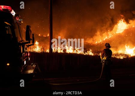 Moreno Valley, Usa. 14. Juli 2023. CalFire Fighter Fighter in Aktion. Kalifornische Feuerwehrleute (CalFire) stellen sich dem Kaninchenfeuer, das derzeit Moreno Valley, Kalifornien, übernimmt, entgegen. Die Behörden haben bestätigt, dass der Brand über 3200 Hektar Land verbraucht hat und derzeit nur zu 5 % eingedämmt ist. (Foto: Jon Putman/SOPA Images/Sipa USA) Guthaben: SIPA USA/Alamy Live News Stockfoto