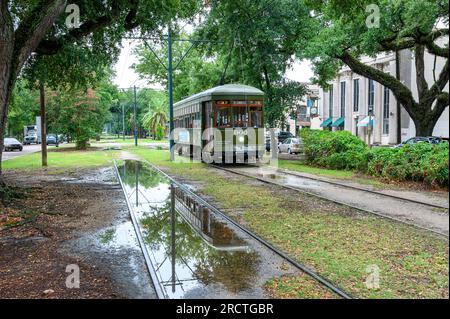 NEW ORLEANS, LA, USA - 12. JULI 2023: Straßenbahn der St. Die Charles Line fährt nach einem Regensturm die South Carrollton Avenue hinunter Stockfoto