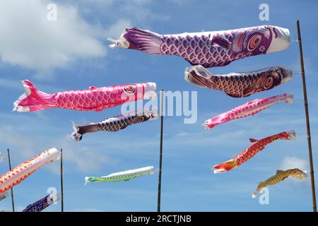 Karpfenstreamer, japanische Koi-Karpfenflagge mit wunderschönem Hintergrund Stockfoto