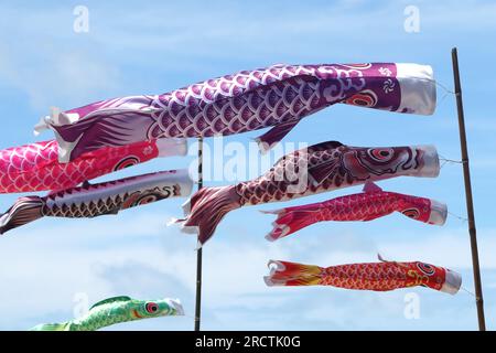 Karpfenstreamer, japanische Koi-Karpfenflagge mit wunderschönem Hintergrund Stockfoto