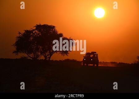 Safari-Auto bei Sonnenaufgang, Wasserloch Klein Namutoni, Etosha-Nationalpark, Namibia Stockfoto