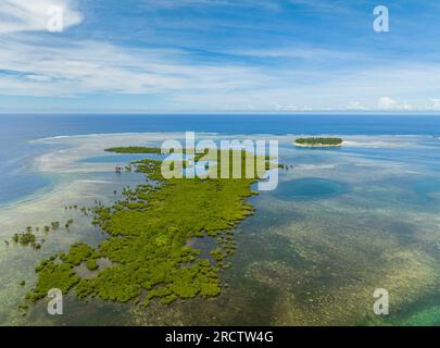 Mangroven mit Lagunen und tropische Insel mit türkisfarbenem Wasser. Korallenriffe und Meereswellen. Mindanao, Philippinen. Stockfoto