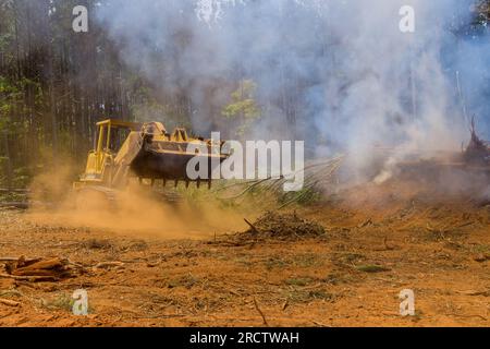 Verbrennen entwurzelter Bäume an Land, bevor sie für den Bau vorbereitet werden Stockfoto