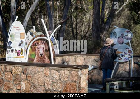 Informationsschilder befinden sich im Picknickbereich, Girraween-Nationalpark, Südost-Queensland, Australien Stockfoto