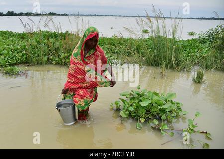 Morigaon. 16. Juli 2023. Eine Frau holt Trinkwasser in einem von Überschwemmungen betroffenen Gebiet im Morigaon-Bezirk im nordöstlichen Bundesstaat Assam, 16. Juli 2023. Kredit: Str/Xinhua/Alamy Live News Stockfoto