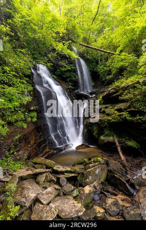 Reece Place Falls - Headwaters State Forest, in der Nähe von Brevard, North Carolina, USA Stockfoto