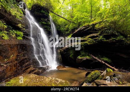 Reece Place Falls - Headwaters State Forest, in der Nähe von Brevard, North Carolina, USA Stockfoto