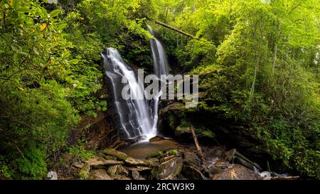 Reece Place Falls - Headwaters State Forest, in der Nähe von Brevard, North Carolina, USA Stockfoto