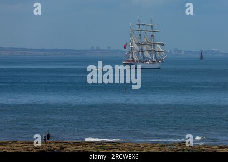 Großsegler in Hartlepool, County Durham, Großbritannien Stockfoto