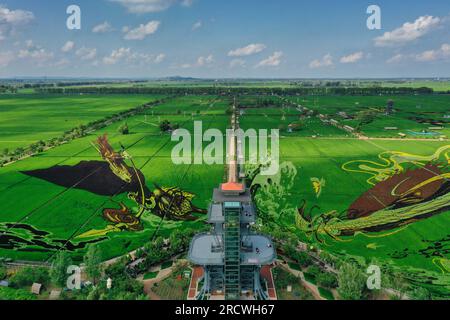 Luftfoto zeigt spektakuläre Paddy Field Art in Shenyang City, Nordostchina's Liaoning Province, 15. Juli 2023. Stockfoto