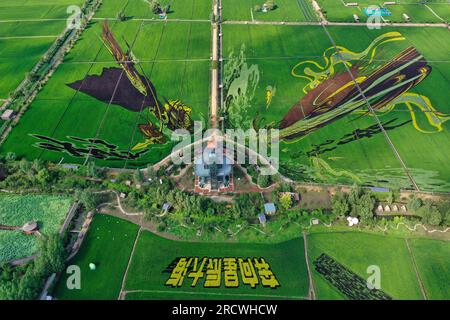 Luftfoto zeigt spektakuläre Paddy Field Art in Shenyang City, Nordostchina's Liaoning Province, 15. Juli 2023. Stockfoto