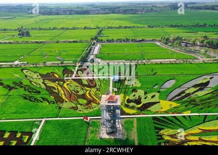 Luftfoto zeigt spektakuläre Paddy Field Art in Shenyang City, Nordostchina's Liaoning Province, 15. Juli 2023. Stockfoto