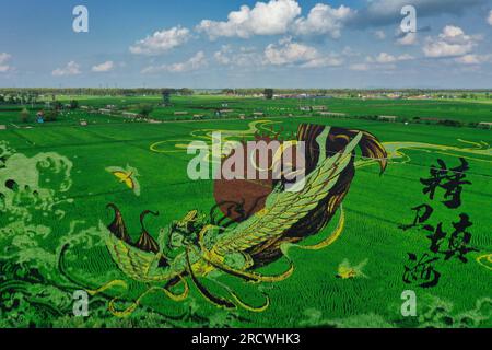 Luftfoto zeigt spektakuläre Paddy Field Art in Shenyang City, Nordostchina's Liaoning Province, 15. Juli 2023. Stockfoto