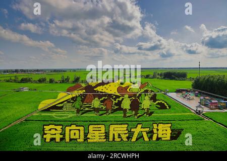 Luftfoto zeigt spektakuläre Paddy Field Art in Shenyang City, Nordostchina's Liaoning Province, 15. Juli 2023. Stockfoto