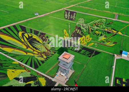 Luftfoto zeigt spektakuläre Paddy Field Art in Shenyang City, Nordostchina's Liaoning Province, 15. Juli 2023. Stockfoto