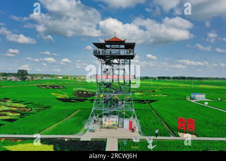 Luftfoto zeigt spektakuläre Paddy Field Art in Shenyang City, Nordostchina's Liaoning Province, 15. Juli 2023. Stockfoto