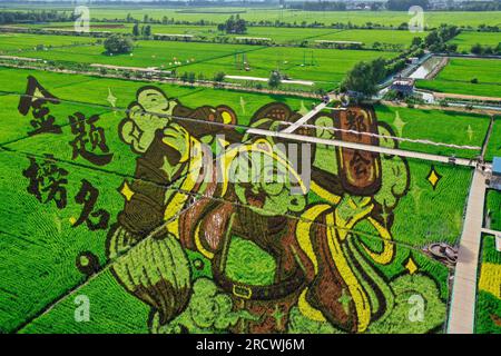 Luftfoto zeigt spektakuläre Paddy Field Art in Shenyang City, Nordostchina's Liaoning Province, 15. Juli 2023. Stockfoto