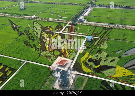 Luftfoto zeigt spektakuläre Paddy Field Art in Shenyang City, Nordostchina's Liaoning Province, 15. Juli 2023. Stockfoto