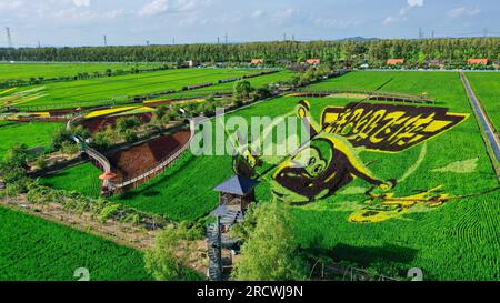 Luftfoto zeigt spektakuläre Paddy Field Art in Shenyang City, Nordostchina's Liaoning Province, 15. Juli 2023. Stockfoto