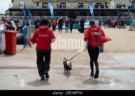 Die Junior Open Agility World Championships 2023. Stockfoto