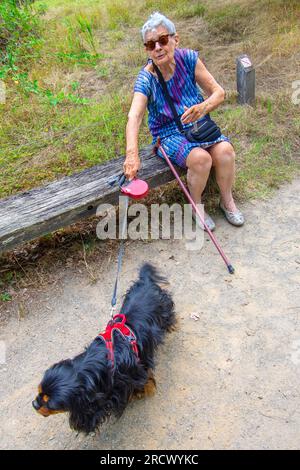 Ältere Dame, die mit König Charles Spaniel Hund auf der Bank sitzt - Rosnay, Indre (36), Frankreich. Stockfoto