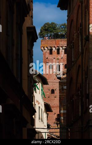 Der berühmte und berühmte mittelalterliche Guinigi-Turm mit Eichen und Touristen auf dem Gipfel, von einer engen Gasse im historischen Zentrum von Lucca aus gesehen Stockfoto