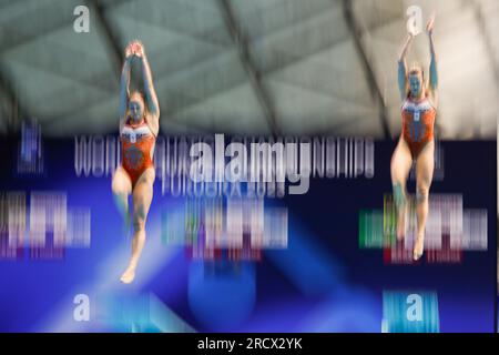 Fukuoka, Japan. 17. Juli 2023. FUKUOKA, JAPAN - JULI 17: Inge Jansen aus den Niederlanden und Celine van Duijn aus den Niederlanden nehmen an der Women 3m Teil, die am 4. Tag der Fukuoka 2023 World Aquatics Championships im Präfekturpool Fukuoka am 17. Juli 2023 in Fukuoka, Japan, synchronisiert wird (Foto: Nikola Krstic/BSR Agency) Kredit: BSR Agency/Alamy Live News Stockfoto