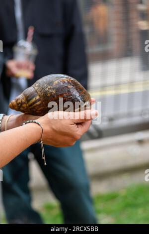 London, Großbritannien, 16. Juli 2023, The Soho Society präsentiert das Soho Village Fete 48. Eine kostenlose Veranstaltung im Herzen von Soho, in St Anne's Gardens, Wardour Street. Bringen Sie Unterhaltung, das Kellnerrennen, Tug of war, Musik, Hundeshow und Schneckenrennen mit. Foto: Schneckenrennen, Andrew Lalchan Photography/Alamy Live News Stockfoto