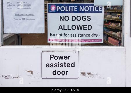 Schild „Keine Hunde erlaubt“ am Eingang der Apotheke, Tetbury, Gloucestershire, Großbritannien Stockfoto